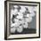 The Lily Pool B&W-Douglas Yan-Framed Giclee Print