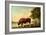 The Lincolnshire Ox, C.1790-George Stubbs-Framed Giclee Print