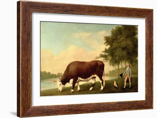 The Lincolnshire Ox, C.1790-George Stubbs-Framed Giclee Print