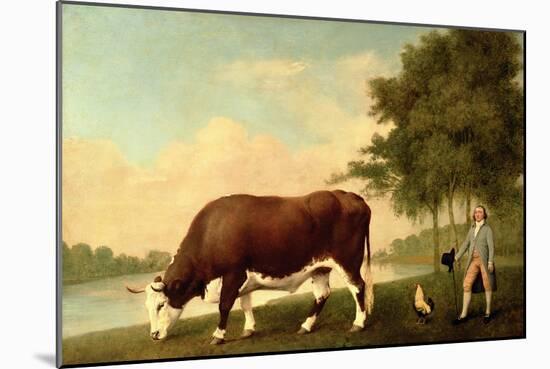 The Lincolnshire Ox, C.1790-George Stubbs-Mounted Giclee Print