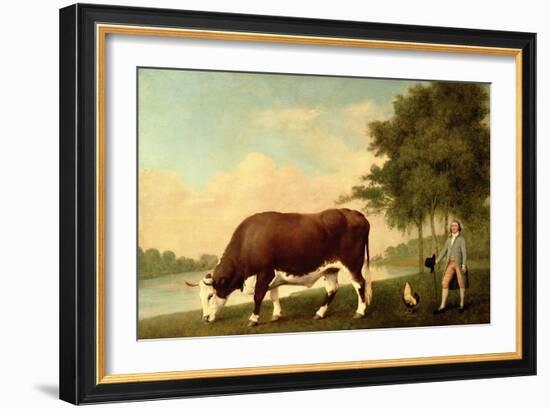 The Lincolnshire Ox, C.1790-George Stubbs-Framed Giclee Print