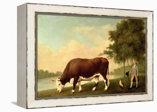 The Lincolnshire Ox, C.1790-George Stubbs-Framed Premier Image Canvas