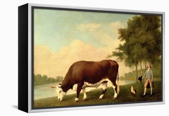 The Lincolnshire Ox, C.1790-George Stubbs-Framed Premier Image Canvas