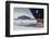 The Lindblad Expeditions Ship National Geographic Explorer in Shorefast Ice-Michael Nolan-Framed Photographic Print