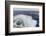 The Lindblad Expeditions Ship National Geographic Explorer in the Gerlache Strait, Antarctica-Michael Nolan-Framed Photographic Print