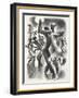 The Lindy Hop, 1936-Miguel Covarrubias-Framed Art Print