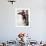 The Lineman (or Telephone Lineman on Pole)-Norman Rockwell-Framed Giclee Print displayed on a wall