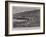 The Liner Paris Ashore on Lowland Point, Cornwall-null-Framed Giclee Print