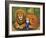 The Lion and Albert, 2001-Frances Broomfield-Framed Giclee Print