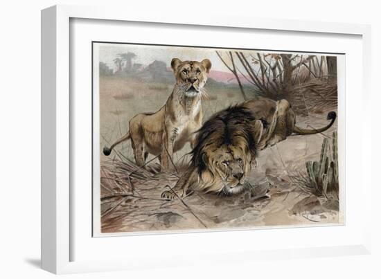 The Lion by Alfred Edmund Brehm-Stefano Bianchetti-Framed Giclee Print