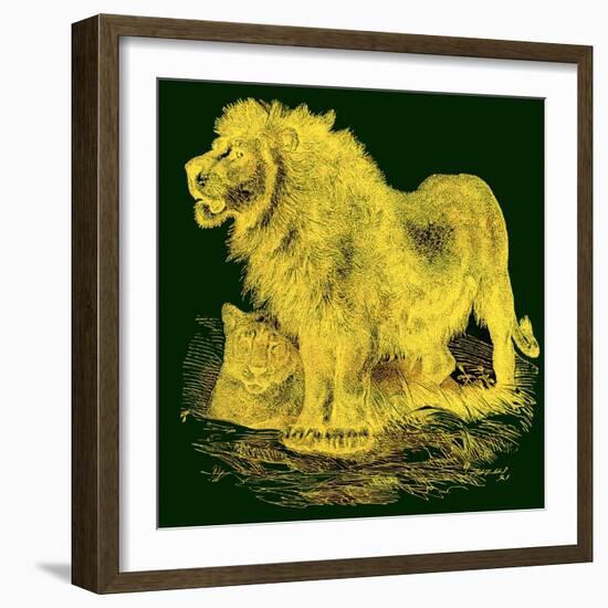 The Lion, Illustration from J. G. Wood's 'Illustrated Natural History', Published C.1850-English-Framed Giclee Print