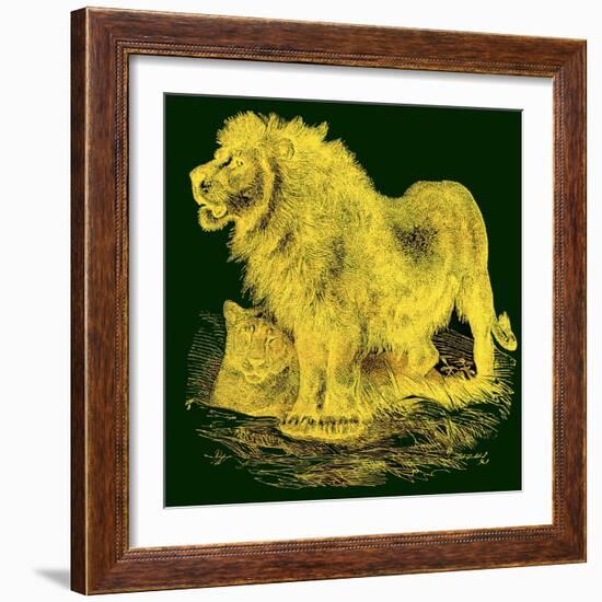 The Lion, Illustration from J. G. Wood's 'Illustrated Natural History', Published C.1850-English-Framed Giclee Print