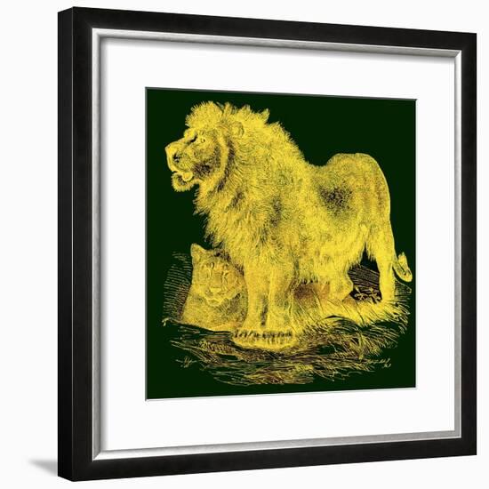 The Lion, Illustration from J. G. Wood's 'Illustrated Natural History', Published C.1850-English-Framed Giclee Print