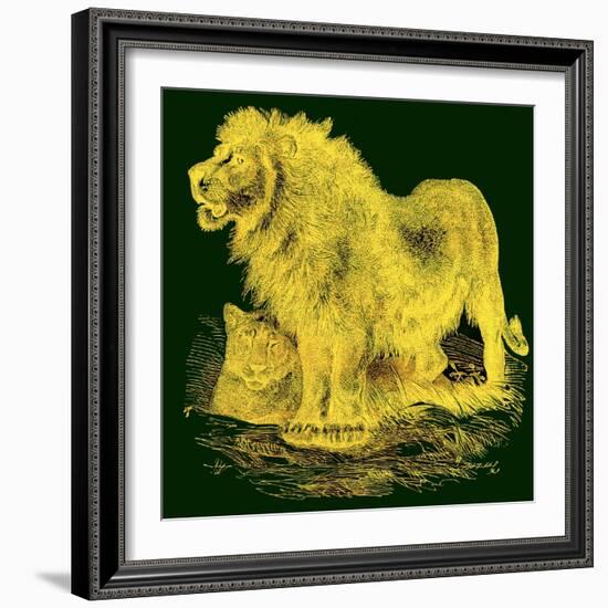 The Lion, Illustration from J. G. Wood's 'Illustrated Natural History', Published C.1850-English-Framed Giclee Print