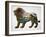 The Lion King-John Van Straalen-Framed Giclee Print