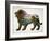 The Lion King-John Van Straalen-Framed Giclee Print