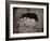 The Lion, Lucerne, Switzerland-Giorgio Sommer-Framed Photographic Print