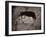 The Lion, Lucerne, Switzerland-Giorgio Sommer-Framed Photographic Print