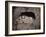 The Lion, Lucerne, Switzerland-Giorgio Sommer-Framed Photographic Print