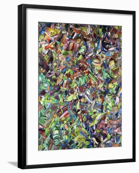 The Lion Of Spring-James W Johnson-Framed Giclee Print