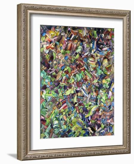 The Lion Of Spring-James W Johnson-Framed Giclee Print