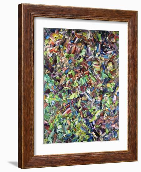 The Lion Of Spring-James W Johnson-Framed Giclee Print