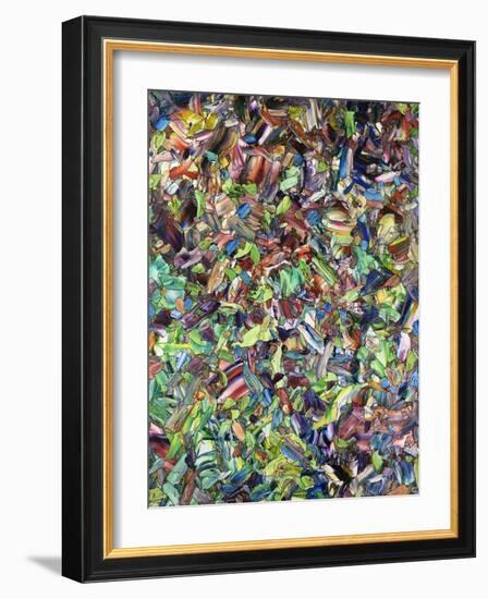 The Lion Of Spring-James W Johnson-Framed Giclee Print