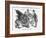 The Lion of St Mark, 1866-John Tenniel-Framed Giclee Print