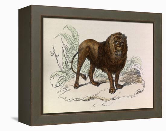 The Lion, 'Quadrupeds', from De Buffon-Georges-Louis Leclerc-Framed Stretched Canvas