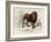 The Lion, 'Quadrupeds', from De Buffon-Georges-Louis Leclerc-Framed Art Print