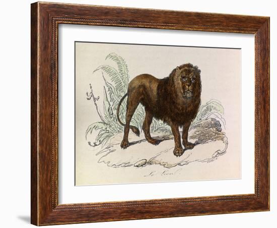 The Lion, 'Quadrupeds', from De Buffon-Georges-Louis Leclerc-Framed Art Print