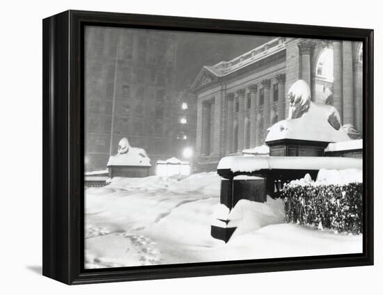 The Lion Statues at the New York Public Library Covered with Snow During the Record Snowfall-null-Framed Stretched Canvas