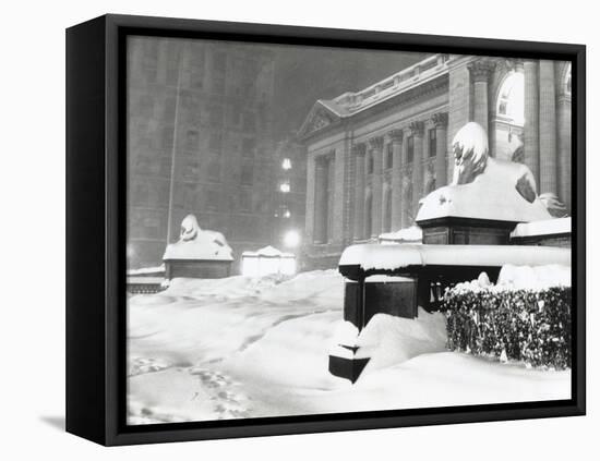 The Lion Statues at the New York Public Library Covered with Snow During the Record Snowfall-null-Framed Stretched Canvas