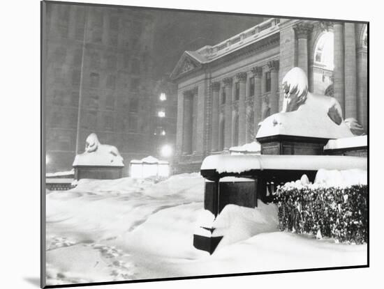 The Lion Statues at the New York Public Library Covered with Snow During the Record Snowfall-null-Mounted Photo