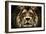 The Lion-SD Smart-Framed Photographic Print