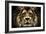 The Lion-SD Smart-Framed Photographic Print