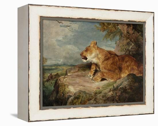 The Lioness, C.1824-27-John Frederick Lewis-Framed Premier Image Canvas