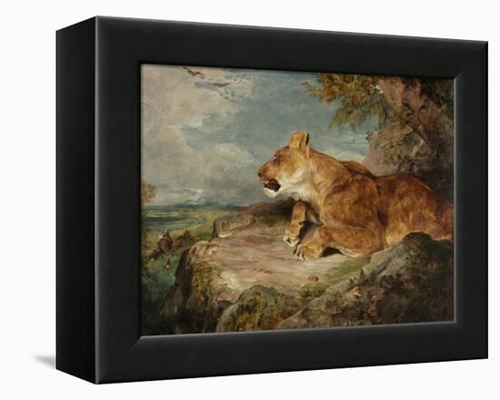 The Lioness, C.1824-27-John Frederick Lewis-Framed Premier Image Canvas