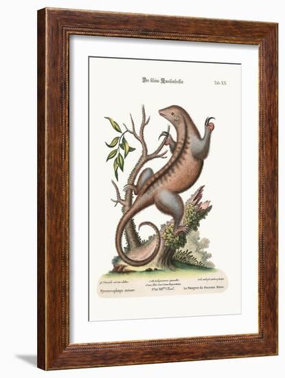 The Little Ant-Eater, 1749-73-George Edwards-Framed Giclee Print