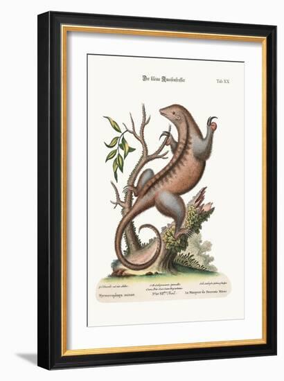 The Little Ant-Eater, 1749-73-George Edwards-Framed Giclee Print