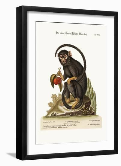 The Little Black Monkey, 1749-73-George Edwards-Framed Giclee Print
