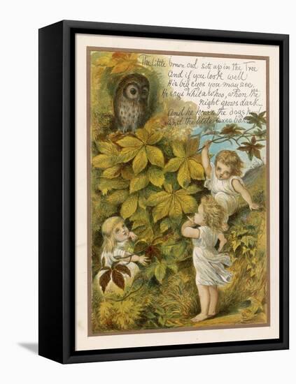 The Little Brown Owl Sits up in the Tree and if You Look Well His Big Eyes You May See!-Eleanor Vere Boyle-Framed Stretched Canvas