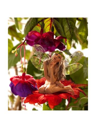 The Little Elf On A Flower In Fairy Garden Art Print Lilun Com - Fairy Garden Pictures To Print The Little Elf On A Flower In Fairy Garden Art Print Lilun Com - Fairy Garden Pictures To Print