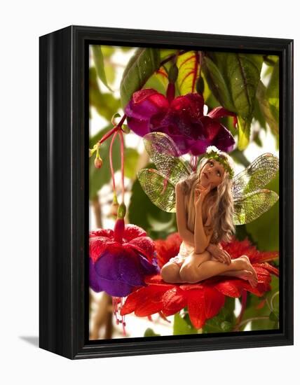 The Little Elf On A Flower In A Fairy Garden-Lilun-Framed Stretched Canvas