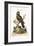 The Little Hawk Owl, 1749-73-George Edwards-Framed Giclee Print