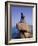 The Little Mermaid Statue in Copenhagen, Denmark, Scandinavia, Europe-Gavin Hellier-Framed Photographic Print