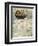 The Little Mermaid Watches a Ship-Anne Anderson-Framed Photographic Print