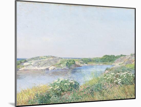 The Little Pond, Appledore, 1890-Childe Hassam-Mounted Giclee Print