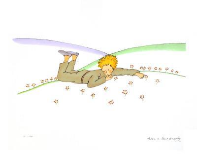 -2008 Antoine de Saint Exupery-The Little Prince Dreaming lg Le Reve