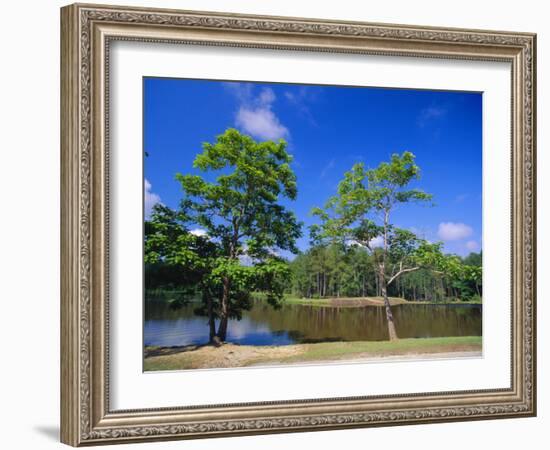 The Little River at Claude D Kelly State Park in Monroe County, Southern Alabama, USA-Robert Francis-Framed Photographic Print